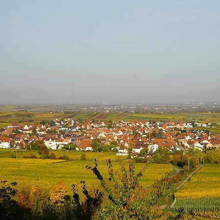 Ferienwohnung Knittel Kallstadt Kültér fotó
