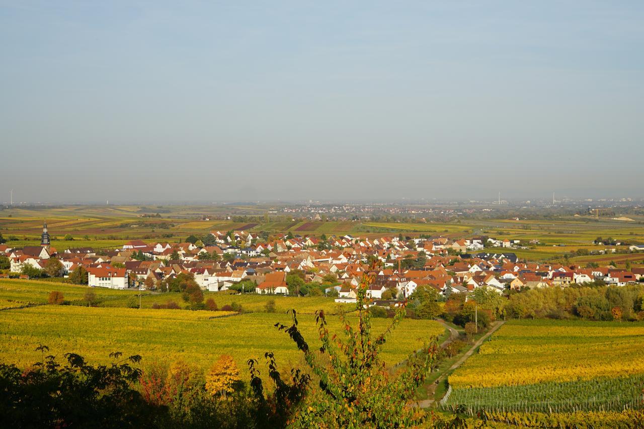 Ferienwohnung Knittel Kallstadt Kültér fotó