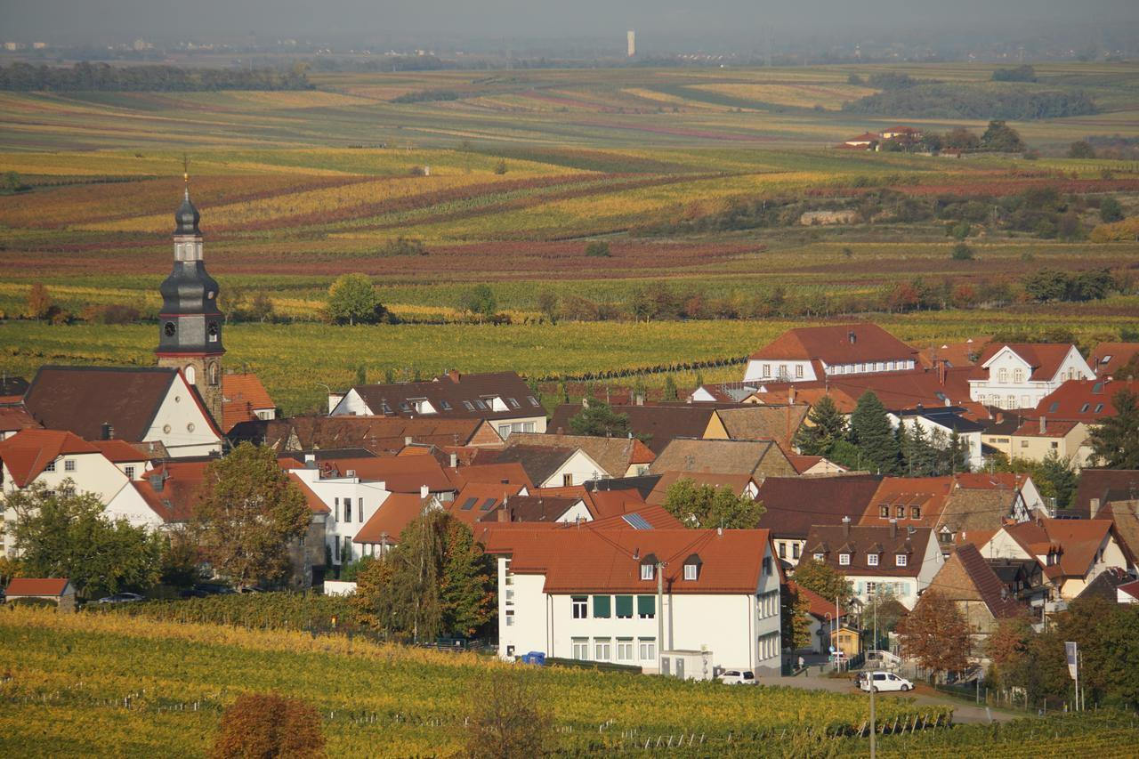 Ferienwohnung Knittel Kallstadt Kültér fotó